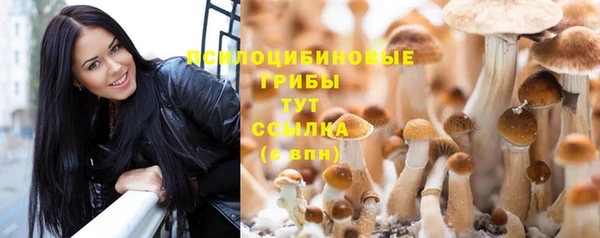 героин Касимов