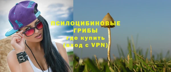 2c-b Карпинск